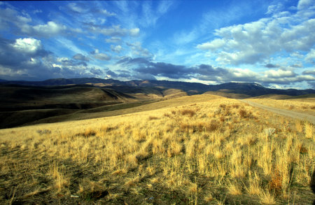 Corrals near Boise, Idaho