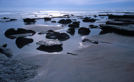 Black Rocks on Beach