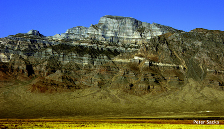 High Desert Nevada