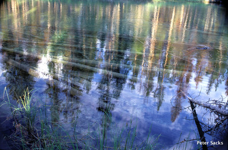 "Reflections," near Redfish Lake, Idaho