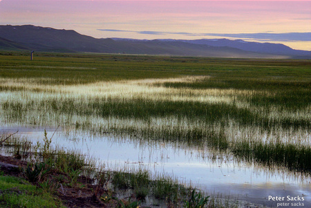 Camas Prairie Marsh, near Fairfield, Idaho